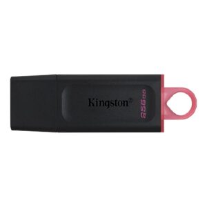 MEMORIA FLASH USB KINGSTON DATA TRAVELER EXODIA 256GB GEN 1 3.2 TIPO A NEGRO + ROSA (DTX/256GB)