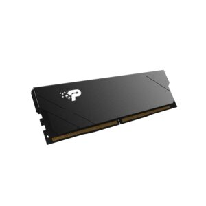 MEMORIA RAM PATRIOT SIGNATURE PREMIUM UDIMM DDR5 16GB 5600MHZ CL46 PC5-44800 288PIN 1.1V PC (PSP516G560081H1) - Patriot