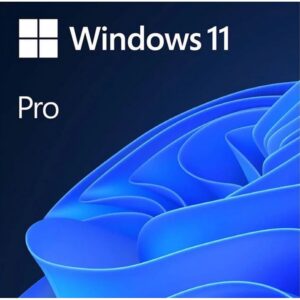 MICROSOFT OEM WINDOWS 11 PROFESIONAL 64 BITS ESPAÑOL LATAM 1 PK DSP DVD SUST WIN 10 PRO - Microsoft