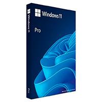KIT DE LEGALIZACION GGK WINDOWS 11 PROFESIONAL 64 BITS ESPAÑOL LAT 1PK DSP DVD - Microsoft