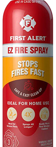 EXTINTOR PORTATIL / SPRAY 100 ML / AGENTE EXTINTOR DIPOTASICO / USO MULTIPLE / GASES BAJO PRESION
