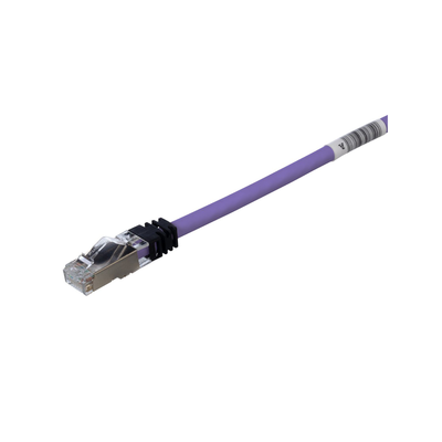 Patch Cord Cat6A, Blindado S/FTP, CM/LS0H, 6.1 Metros (20 Pies), Color Violeta - Image 2