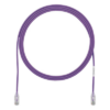 Cable de Parcheo Cat6 / UTP 28AWG / 250 MHz / 7 Pies / 2.13 Metros / LSZH-CM / Violeta