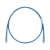 Cable de Parcheo TX6, UTP Cat6, 24 AWG, LSZH, Color Azul, 1 Metro (3.28 Pies)