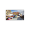 Pantalla Profesional LED de 43", Resolución 1920x1080p, Entradas de Video HDMI / DVI-I / Display Port. Con Bocinas Intergradas de 10 W. Compatible VESA