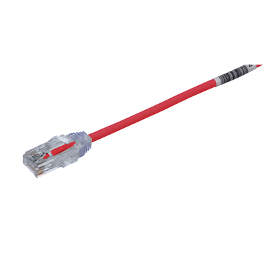 Cable de Parcheo UTP / Cat6 / 28AWG Diámetro Reducido / 20 cm / Rojo